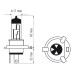 Bosma lemputė H4, 75/70W