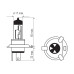 Bosma Komplektas H4, P43t, 60/55W, baltos