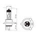 Bosma lempučių komplektas H4, P43t, 60/55W, optiplus +50%