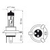 Bosma lemputė H4, 24V, 75/70W