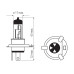 Bosma lemputė H4, 60/55W komplektas