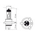 Bosma lemputė H4, 60/55W 12V P43t komplektas (auks.)
