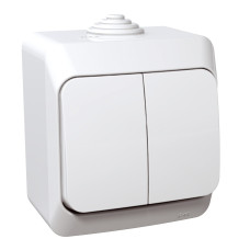 2 klavišų jungiklis Schneider Cedar Plus WDE000550 (virštinkinis, baltas, 16A, 250V)