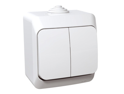 2 klavišų jungiklis Schneider Cedar Plus WDE000550 (virštinkinis, baltas, 16A, 250V)